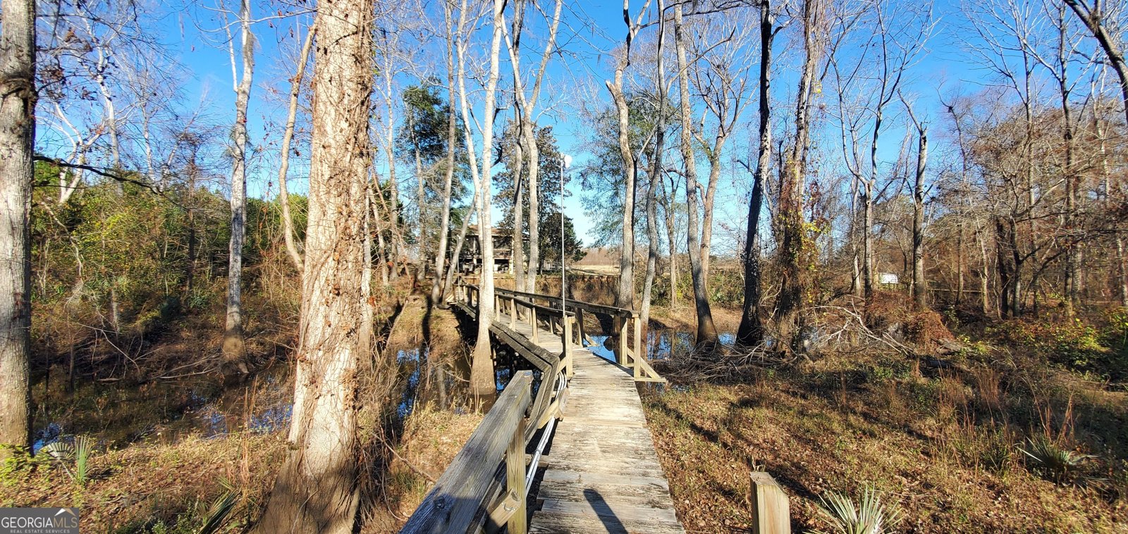 147 Brannen Landing Road Midville - 3