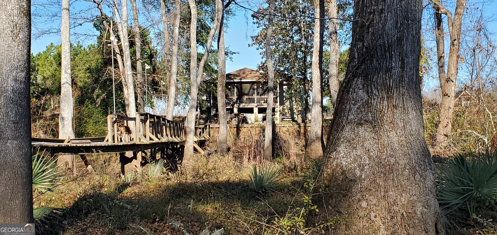 147 Brannen Landing Road Midville - 5