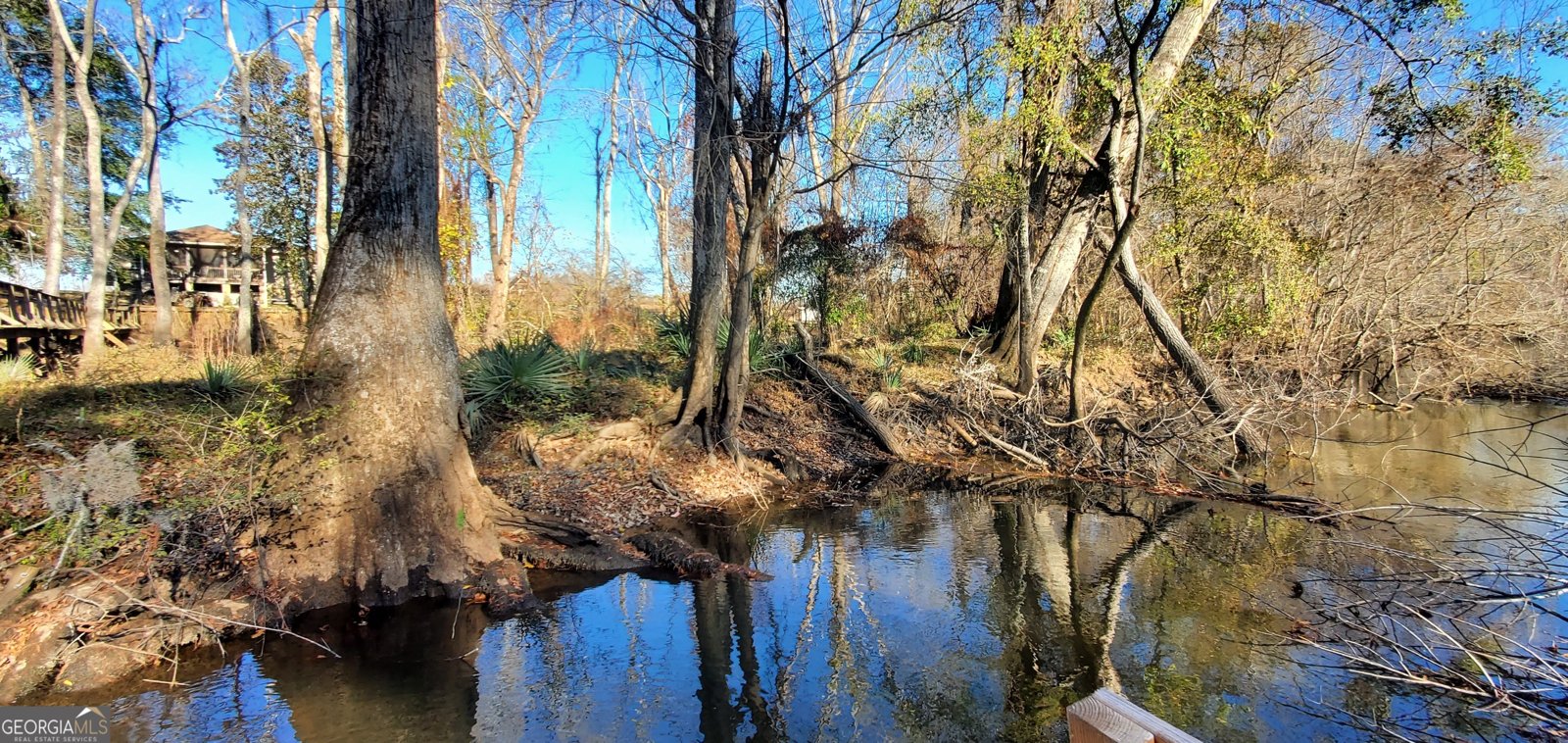 147 Brannen Landing Road Midville - 6