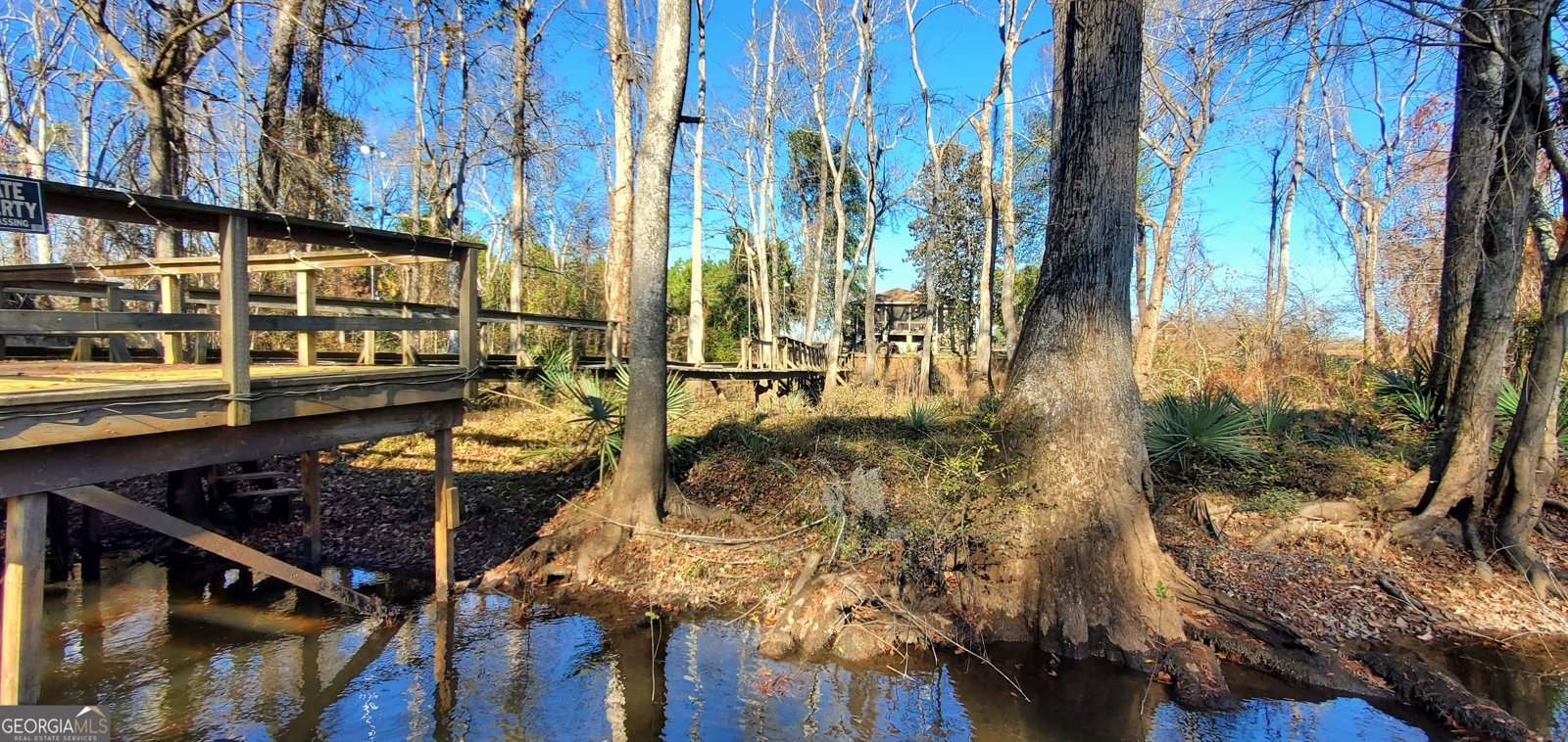 147 Brannen Landing Road Midville - 7