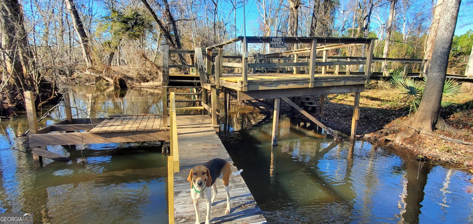 147 Brannen Landing Road Midville - 8