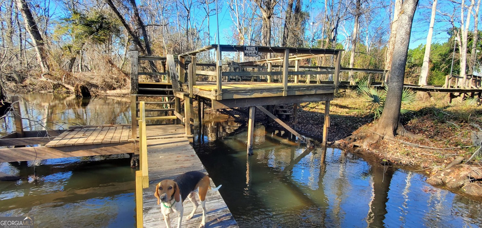 147 Brannen Landing Road Midville - 9