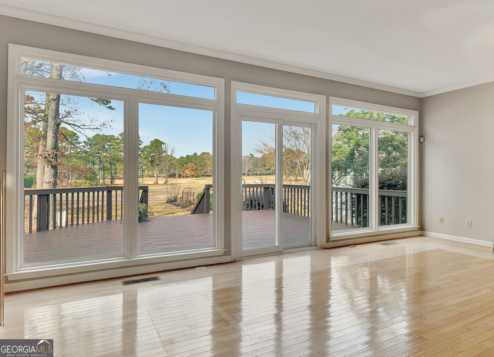 313 Evian Way Peachtree City - 13