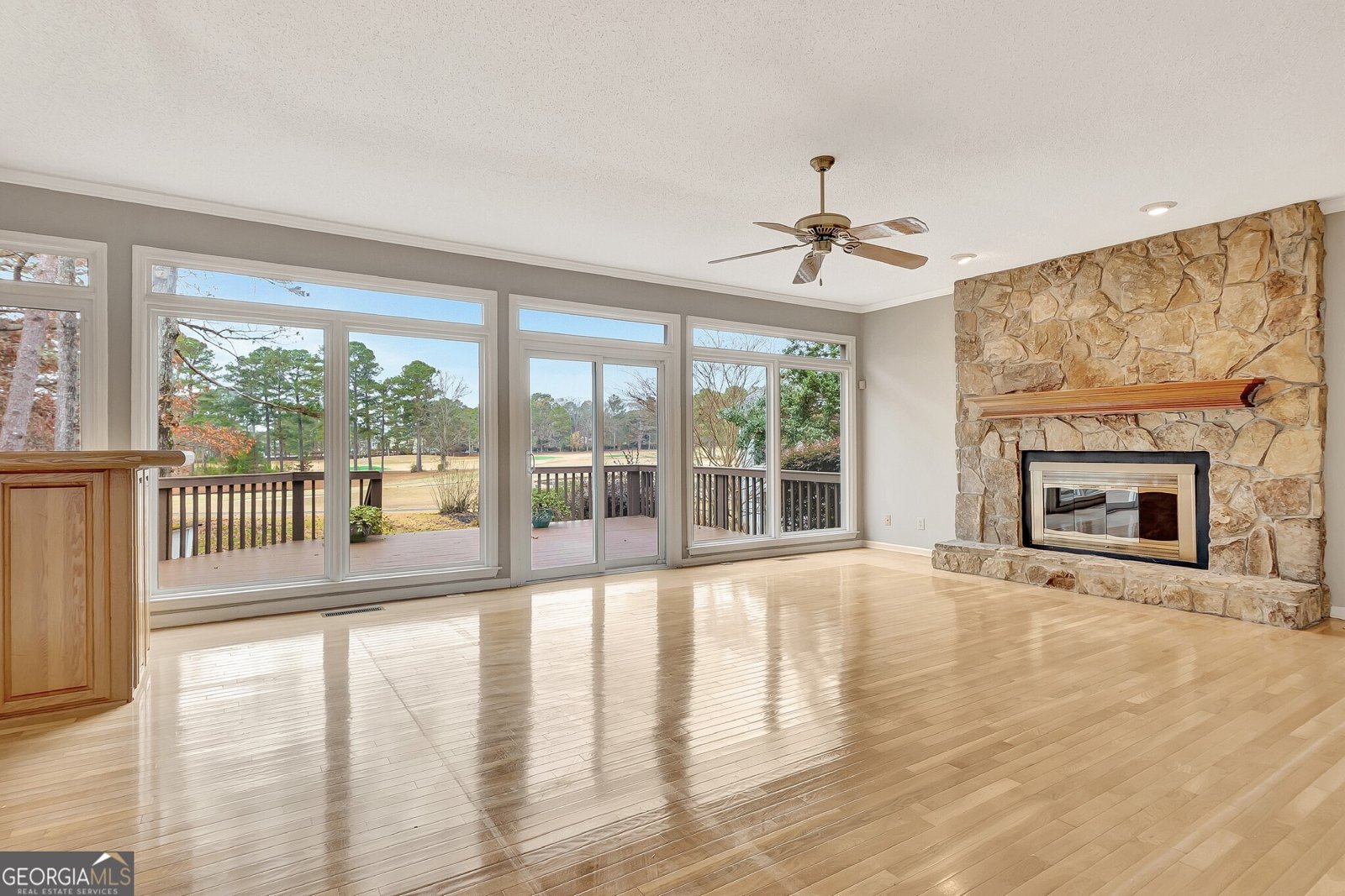 313 Evian Way Peachtree City - 14