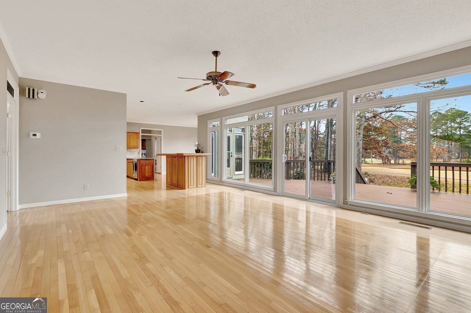 313 Evian Way Peachtree City - 15