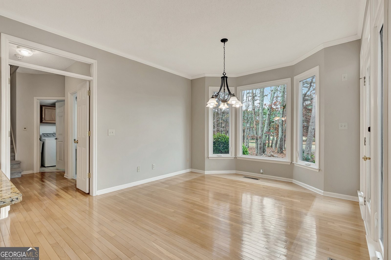 313 Evian Way Peachtree City - 19