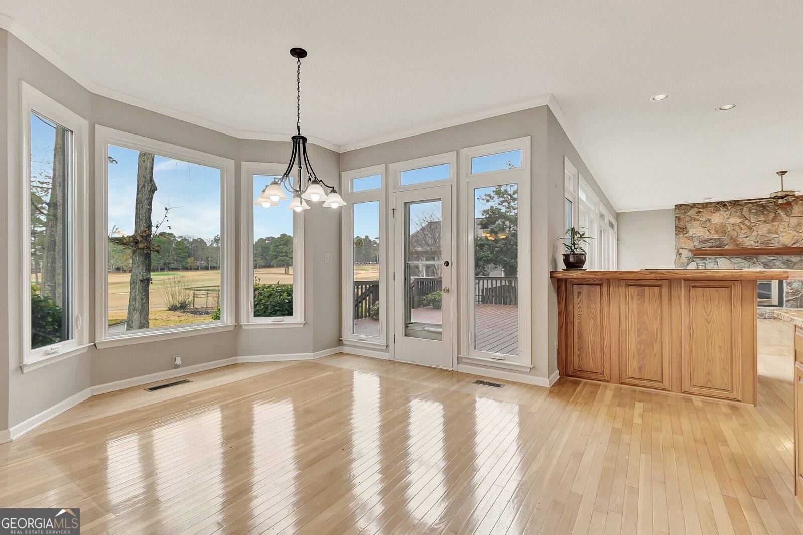 313 Evian Way Peachtree City - 20