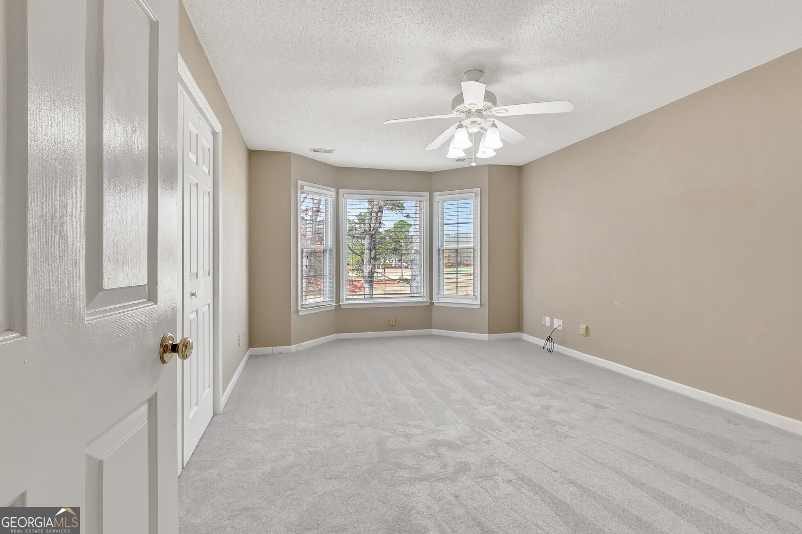 313 Evian Way Peachtree City - 40