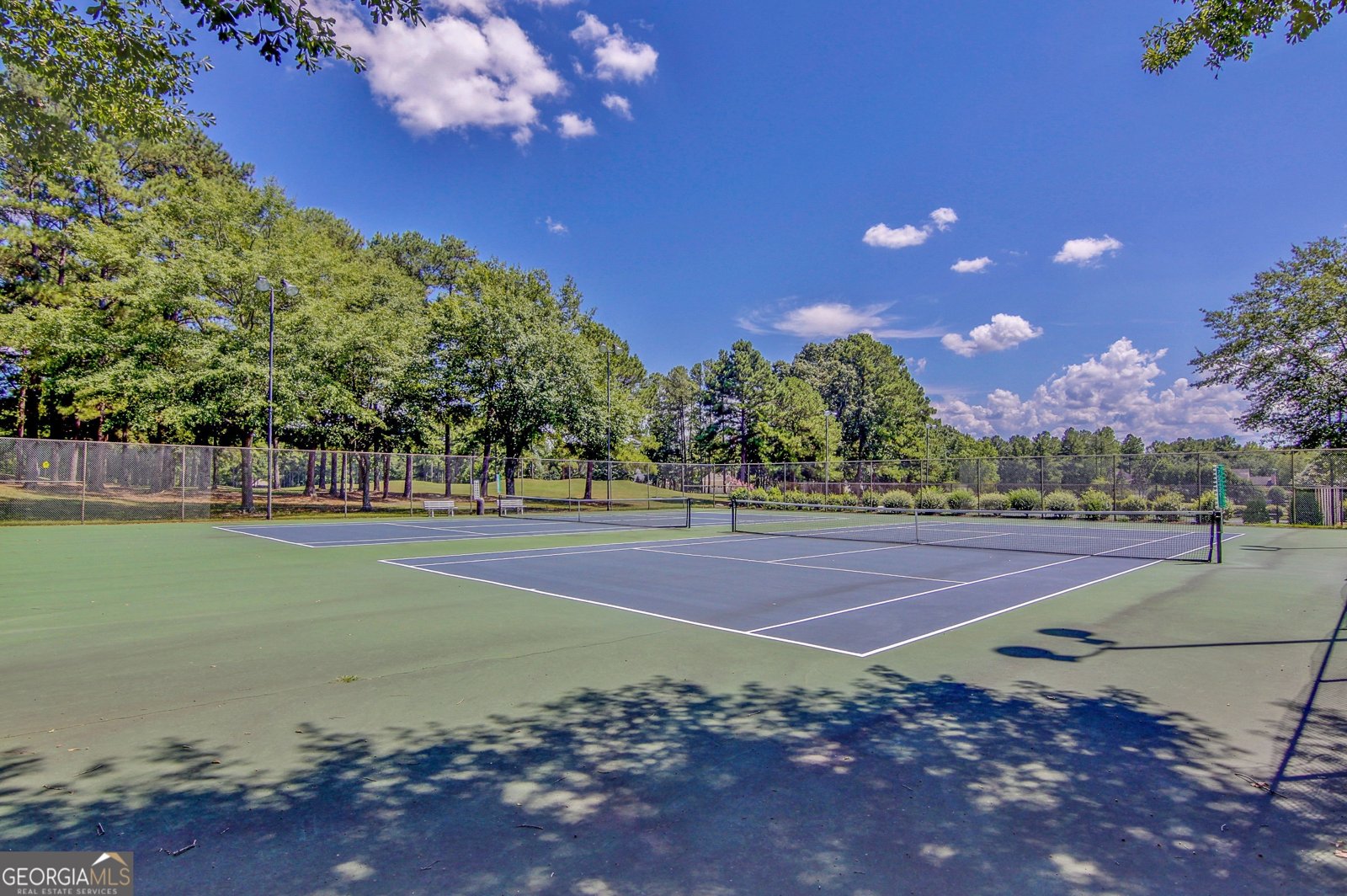 313 Evian Way Peachtree City - 49