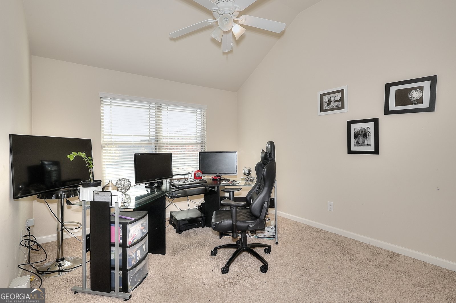 602 Baymist Court Loganville - 22