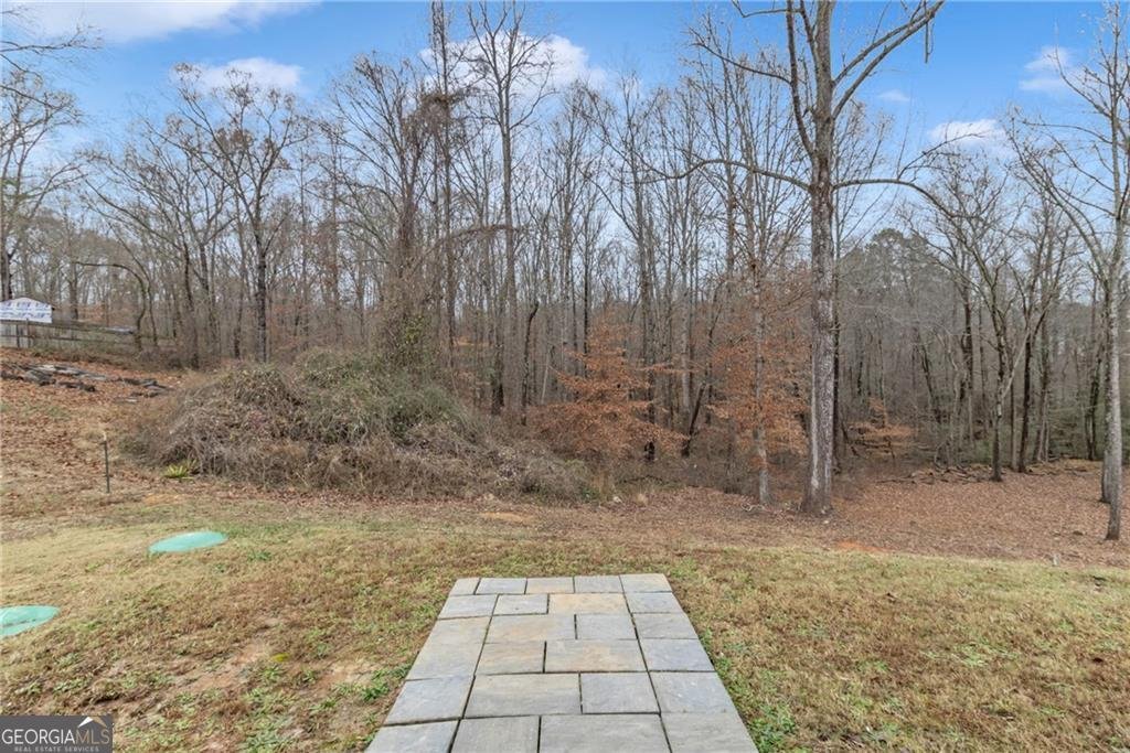 3494 Silver Wood Walk Gainesville - 34