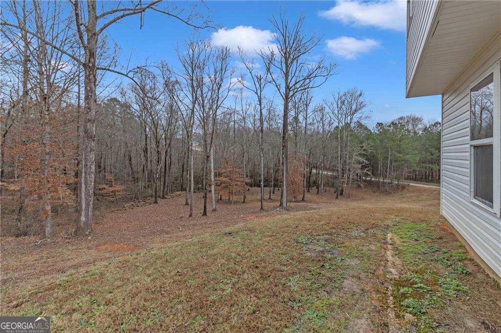 3494 Silver Wood Walk Gainesville - 35