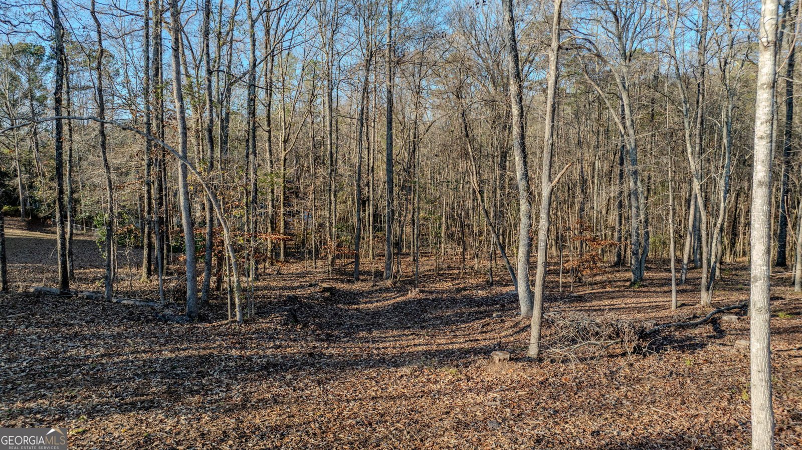 120 Longwood Lane Newnan - 55