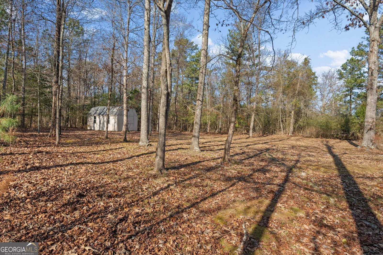 7370 Mitchell Court Villa Rica - 34