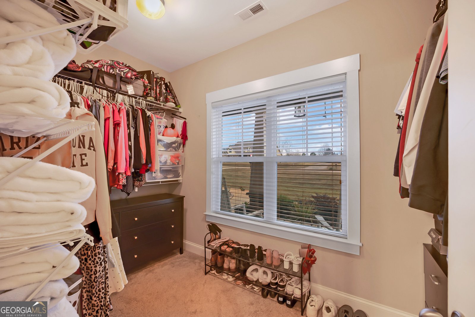 208 Ashley Glen Drive Williamson - 8