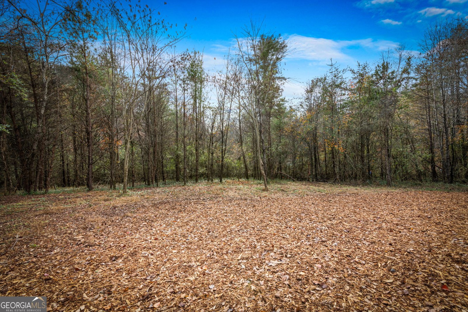 40 Cherry Street East Ellijay - 37