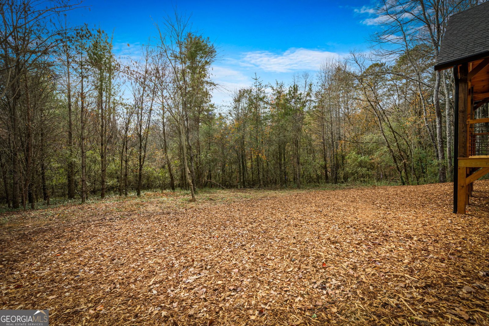 40 Cherry Street East Ellijay - 53