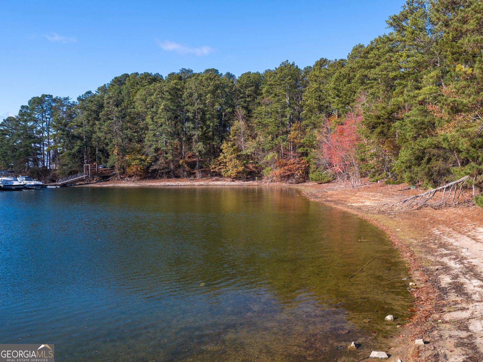 6728 Leigh Street Flowery Branch - 63