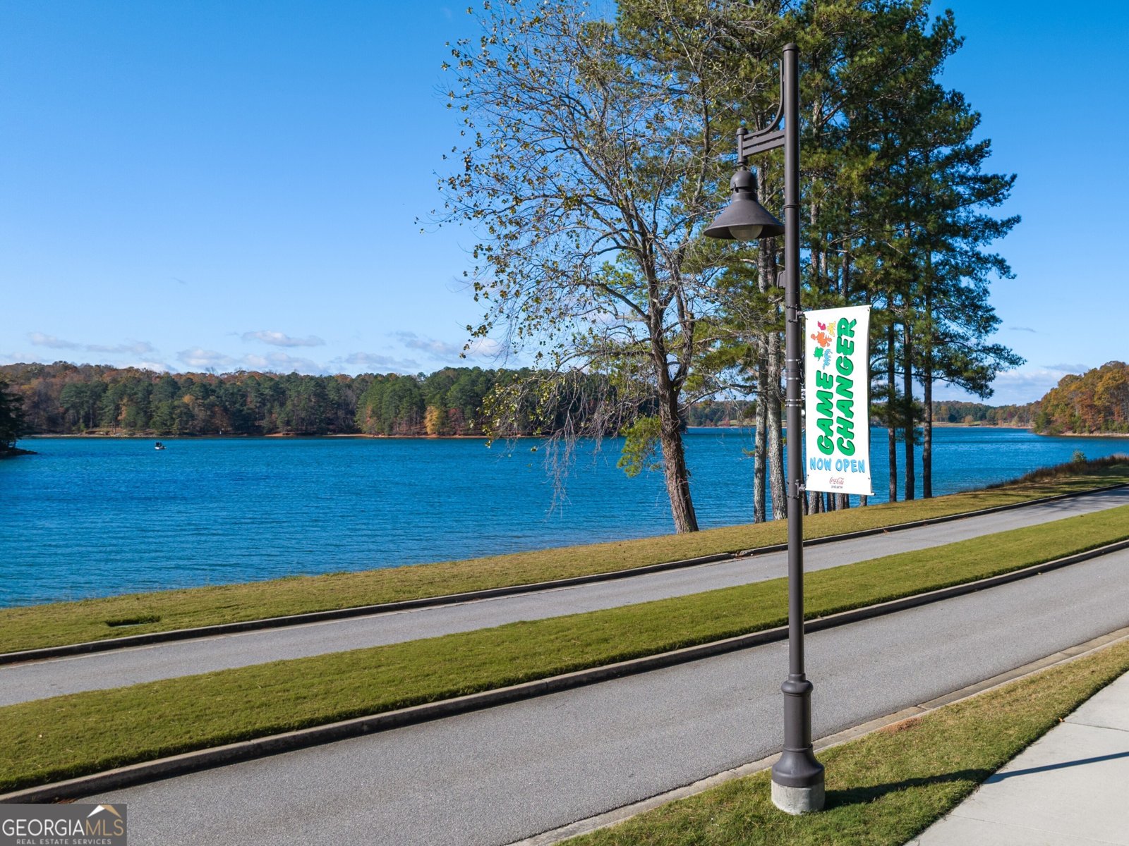 6728 Leigh Street Flowery Branch - 68