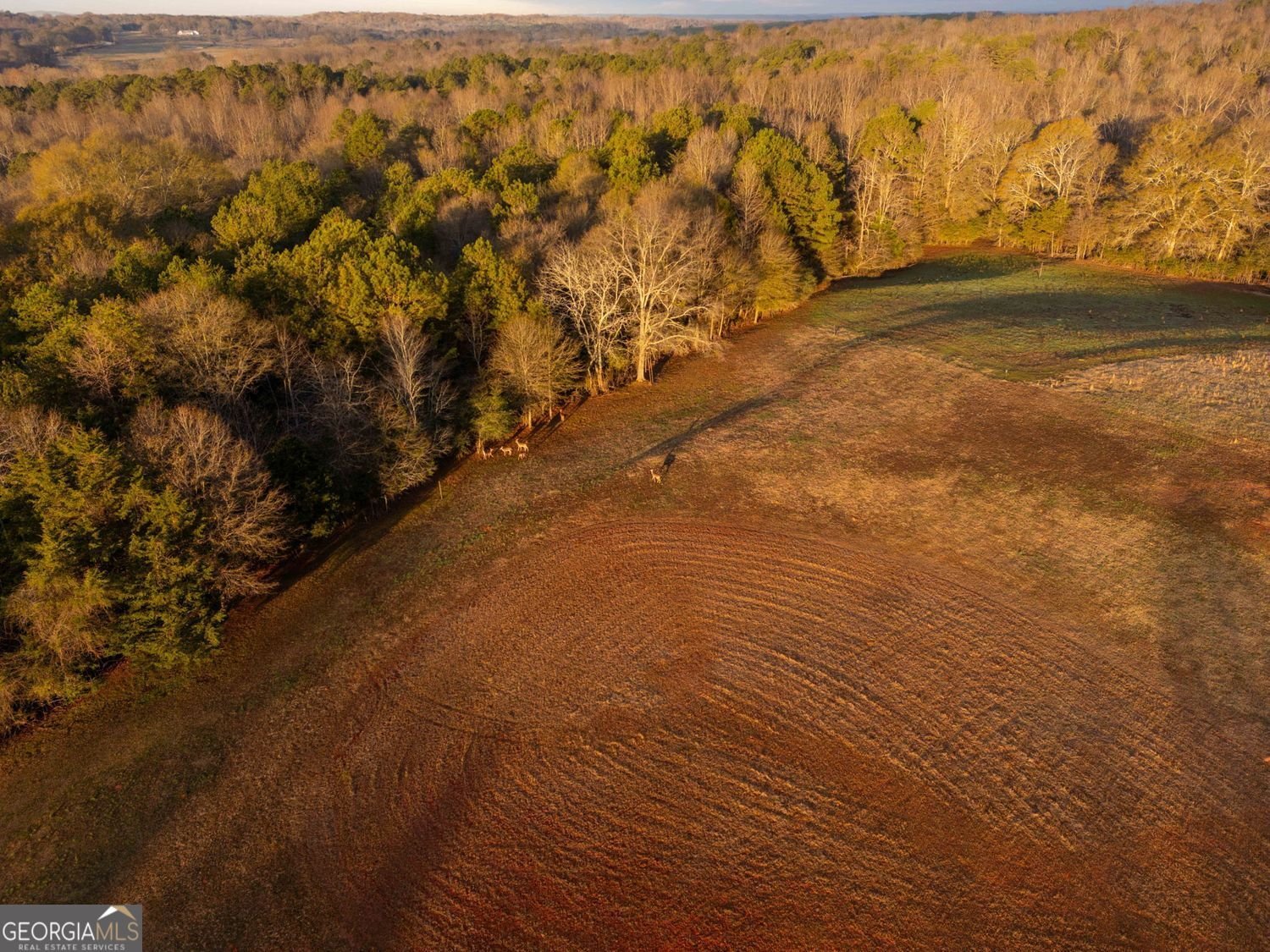 2440 Deadwyler Road Maysville - 62