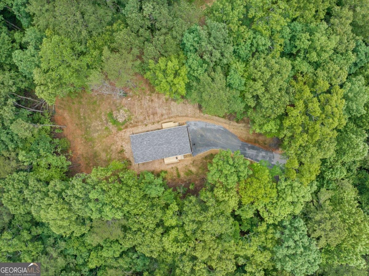 220 Jetty Drive Ellijay - 27