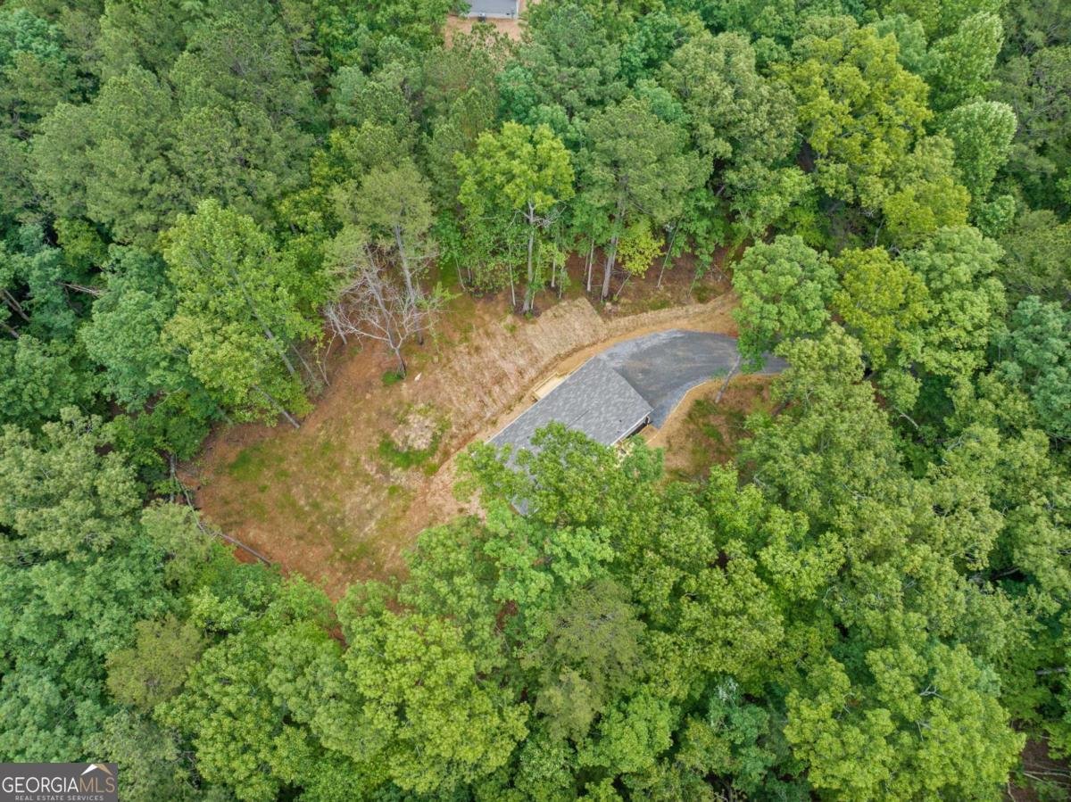 220 Jetty Drive Ellijay - 29
