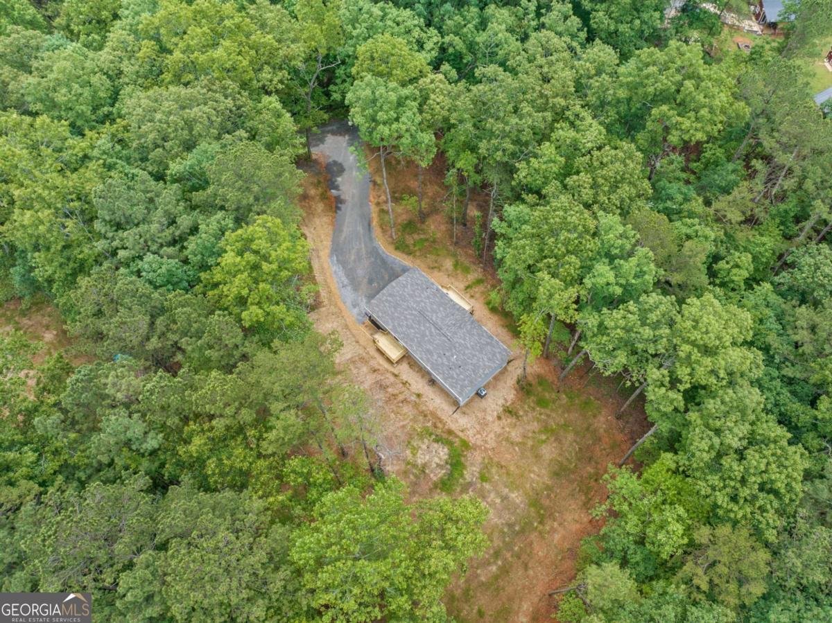 220 Jetty Drive Ellijay - 30