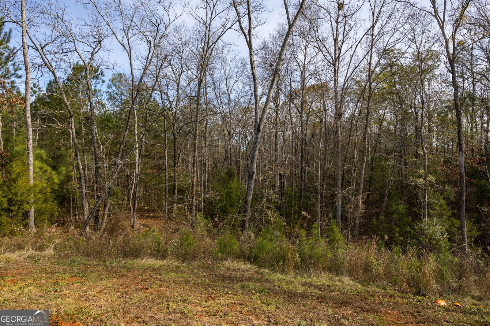 153 Jackson Drive Forsyth - 32