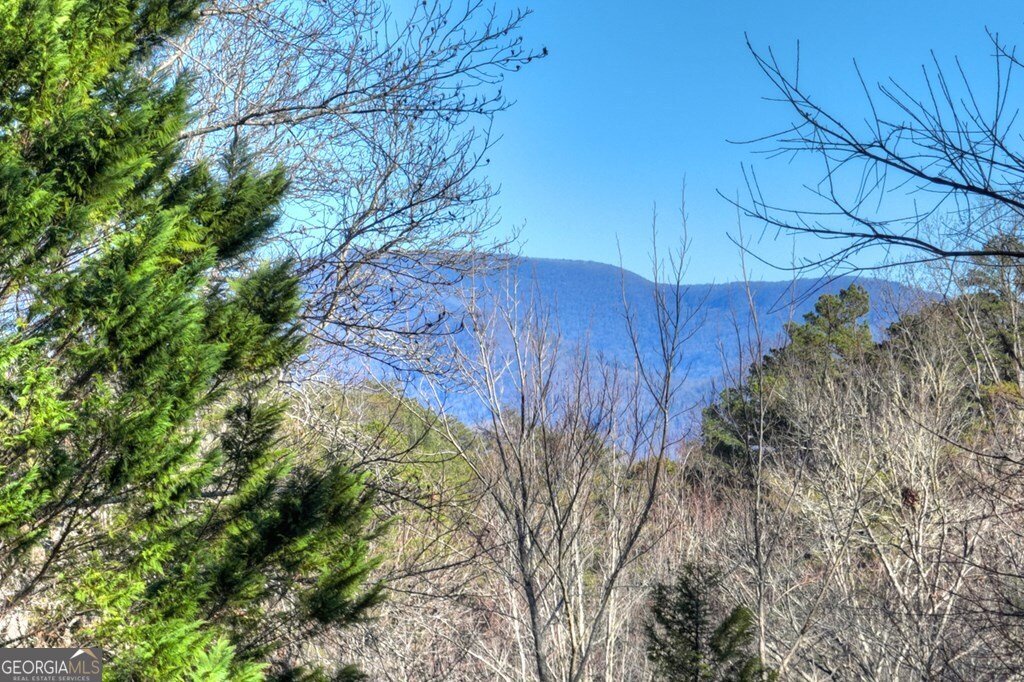 159 Victoria Drive Blairsville - 24