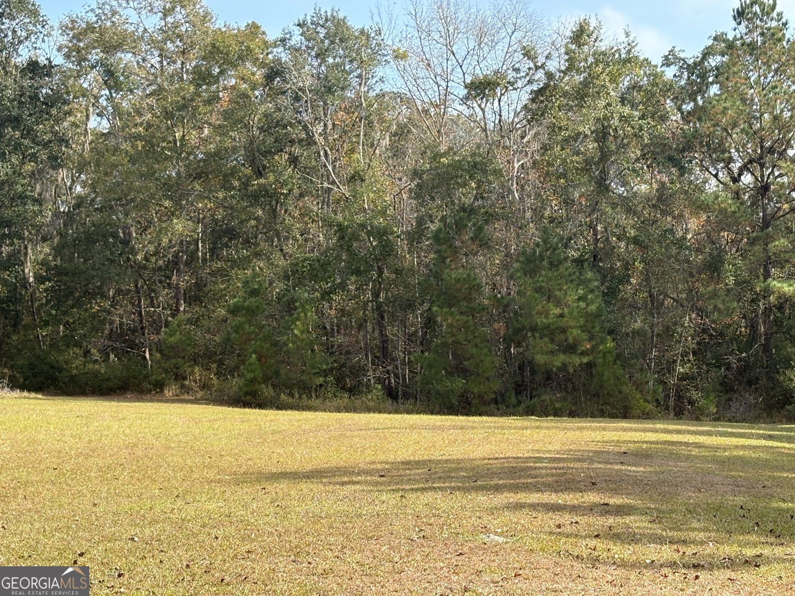 11817 Ga Highway 99 Darien - 12