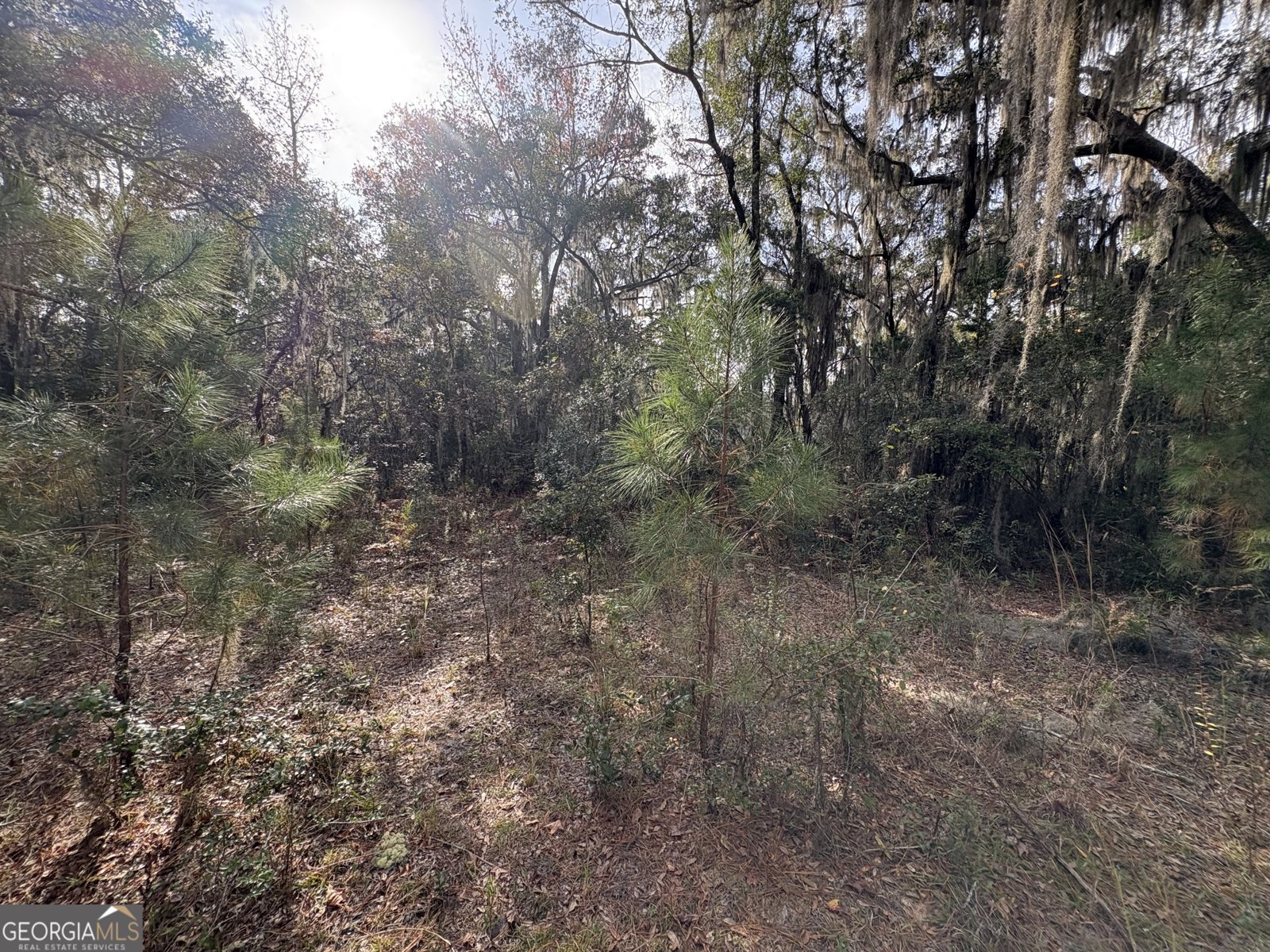 11817 Ga Highway 99 Darien - 13