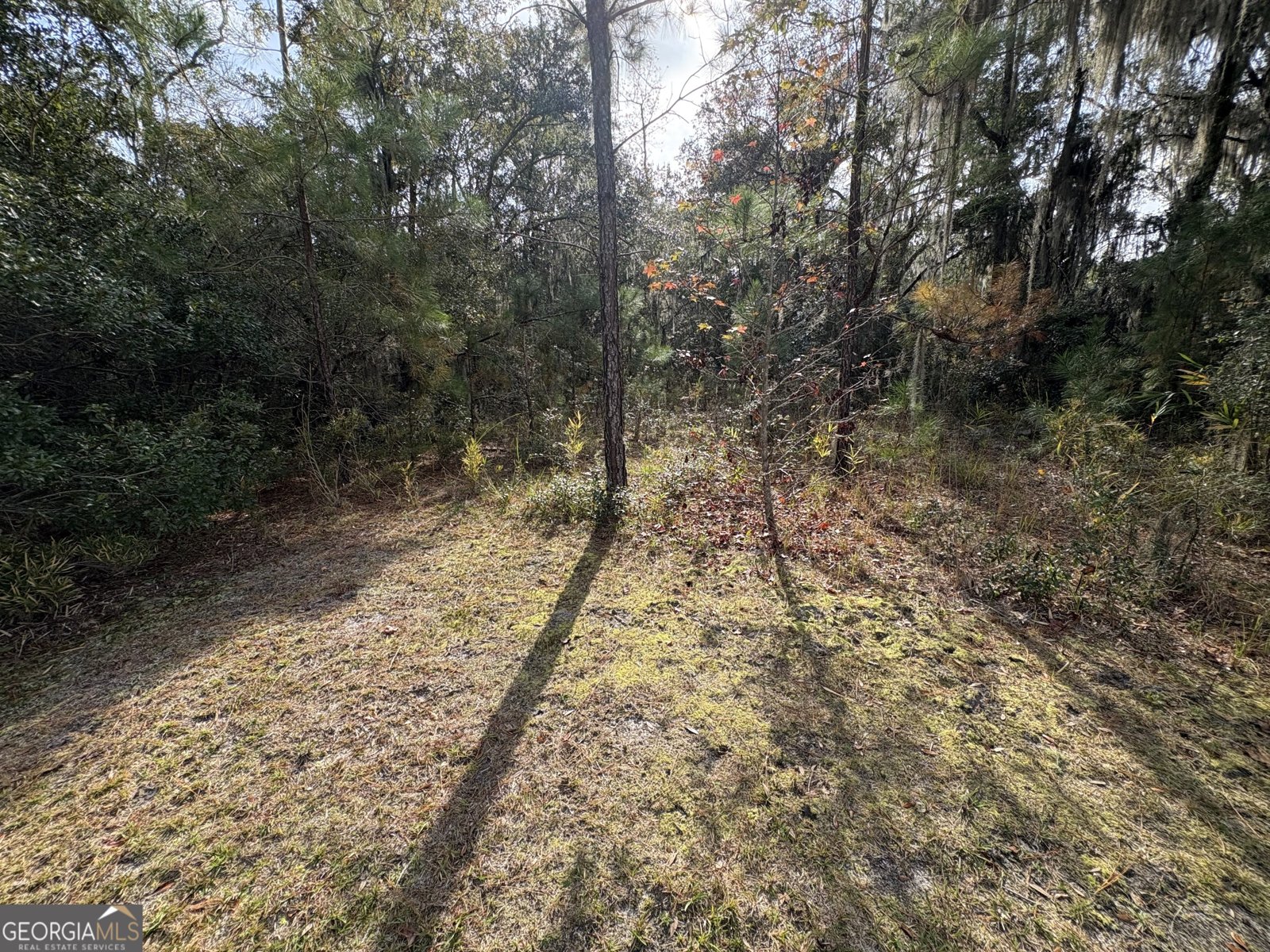 11817 Ga Highway 99 Darien - 14