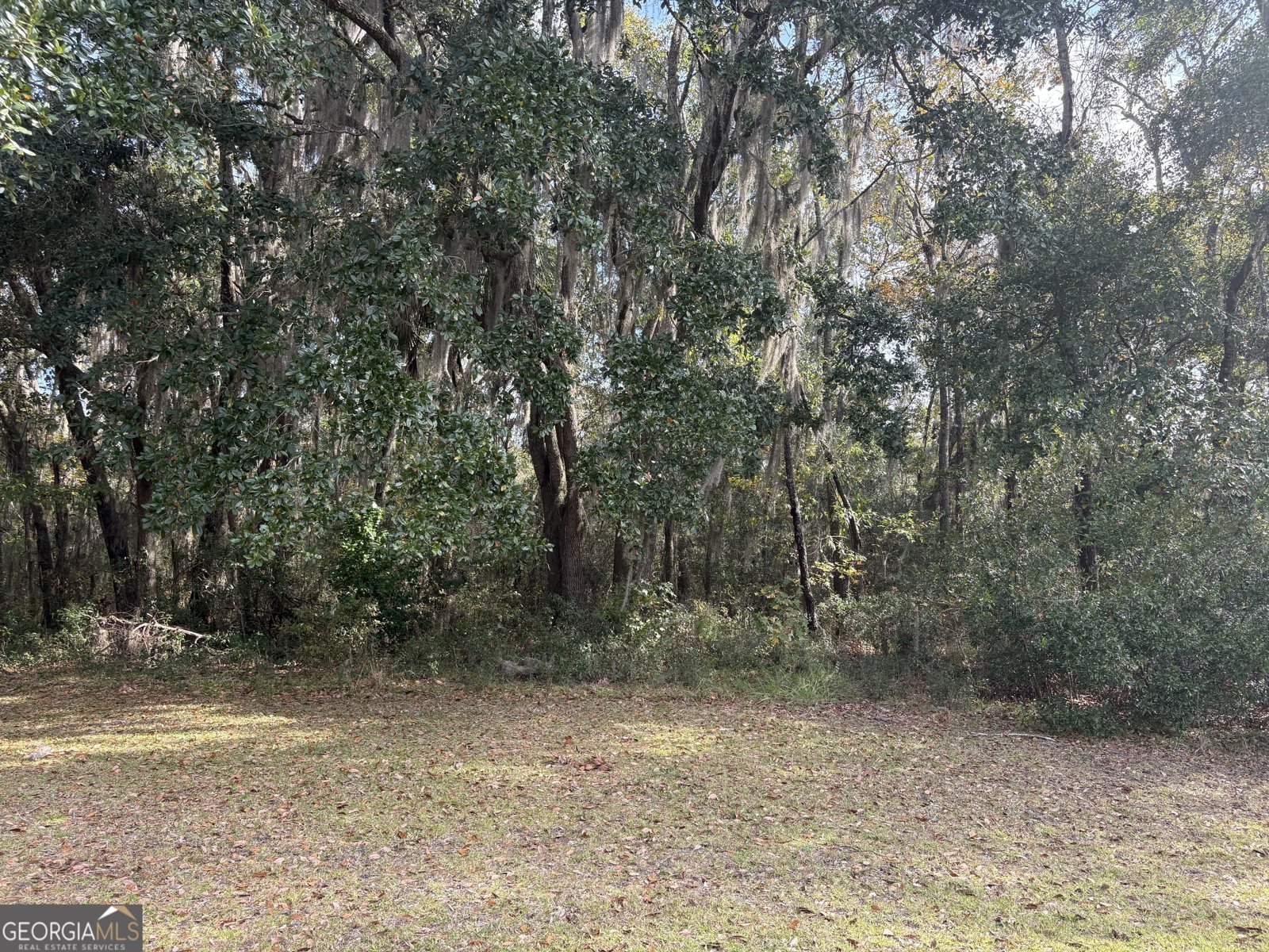 11817 Ga Highway 99 Darien - 15