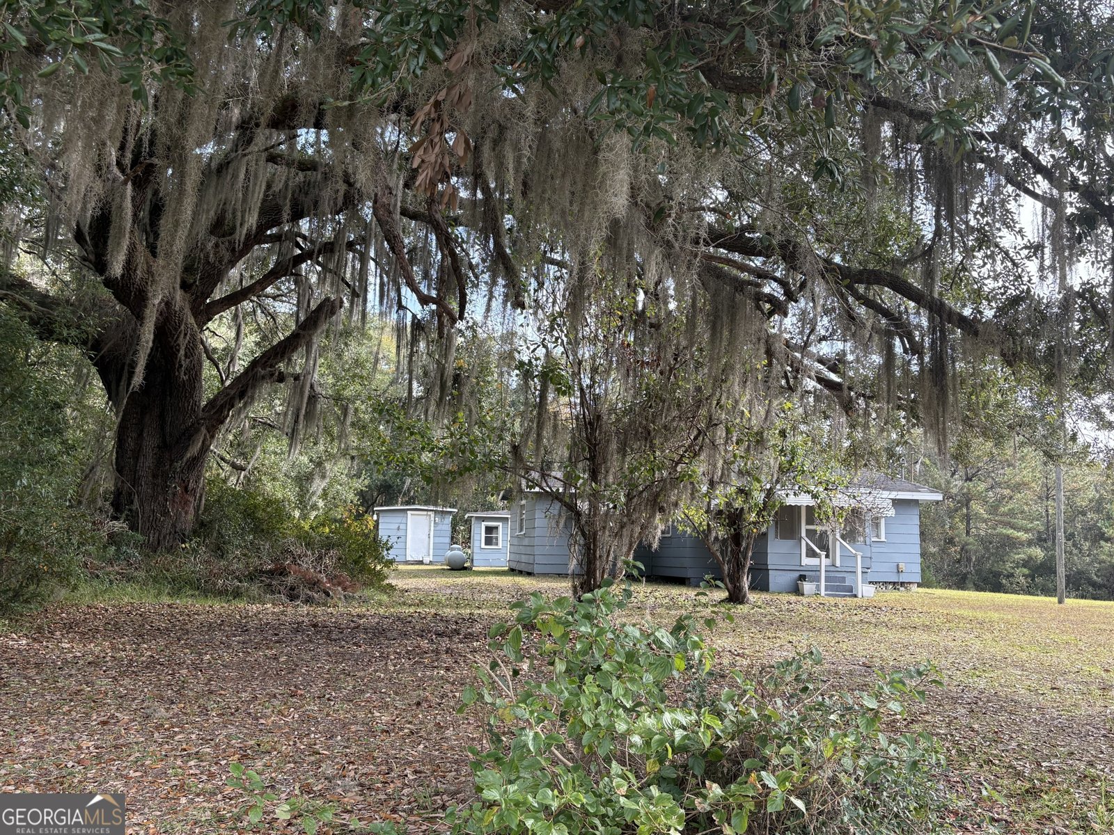 11817 Ga Highway 99 Darien - 2