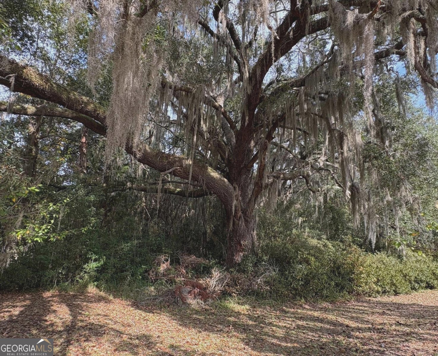 11817 Ga Highway 99 Darien - 3