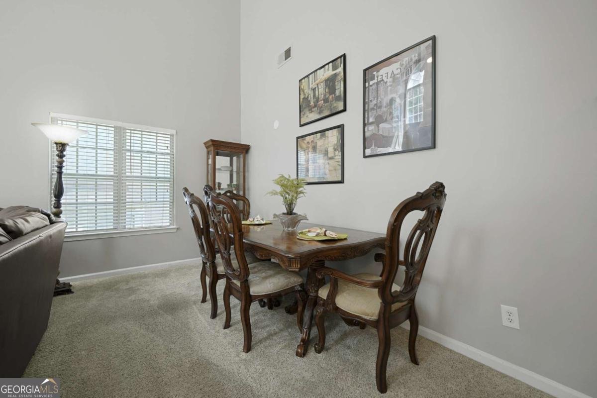 4124 Spring Cove Drive Duluth - 13