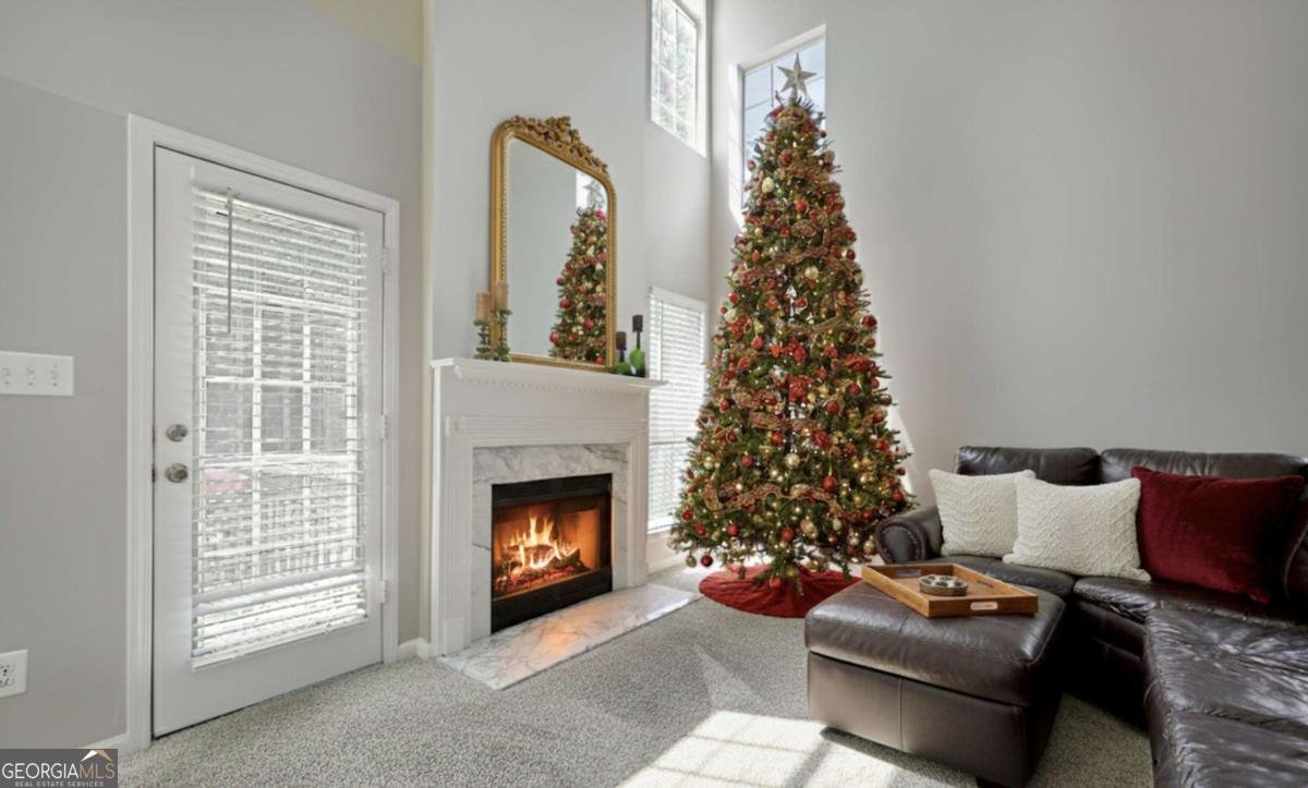 4124 Spring Cove Drive Duluth - 4