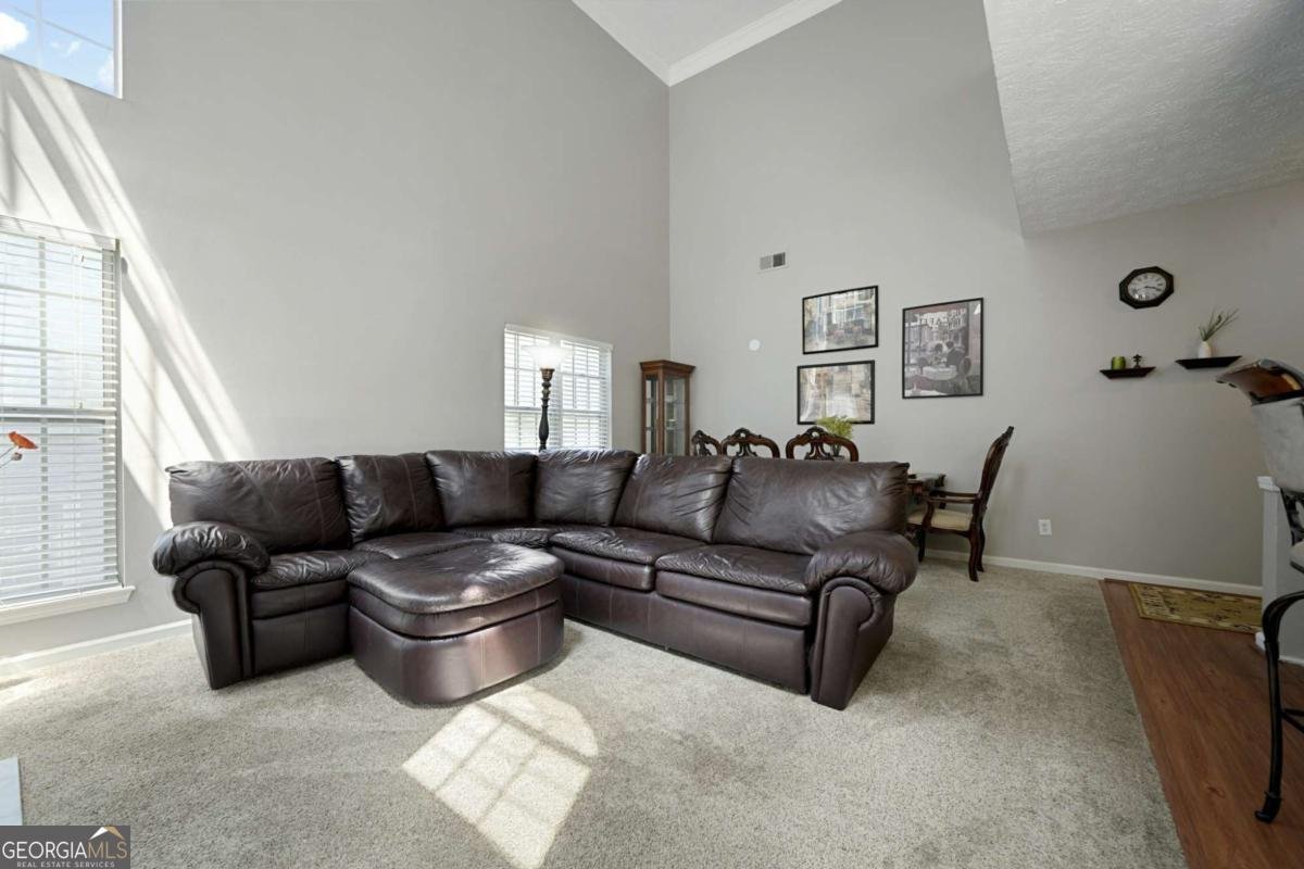 4124 Spring Cove Drive Duluth - 6