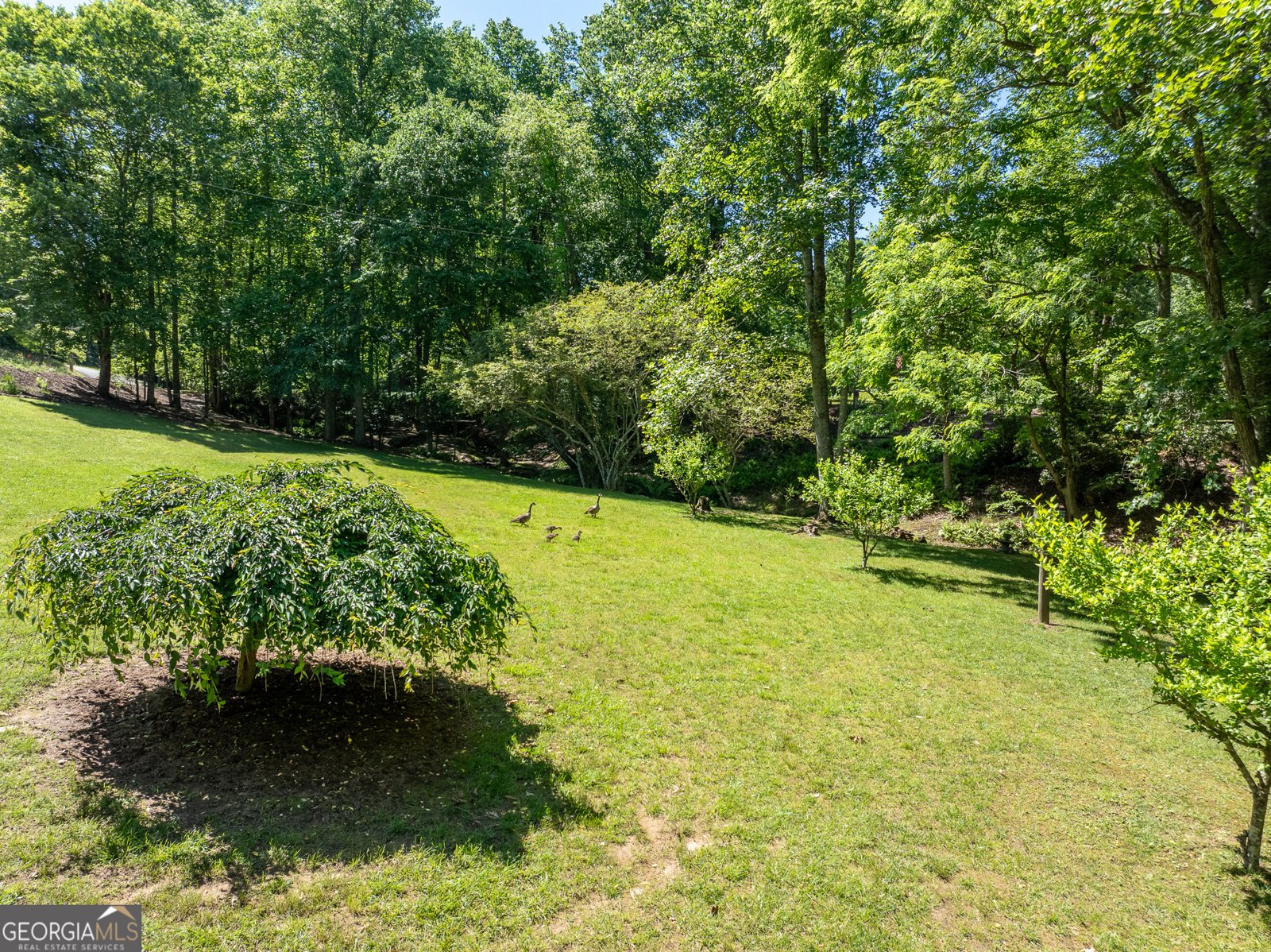 724 Fish Cove Road Blairsville - 12