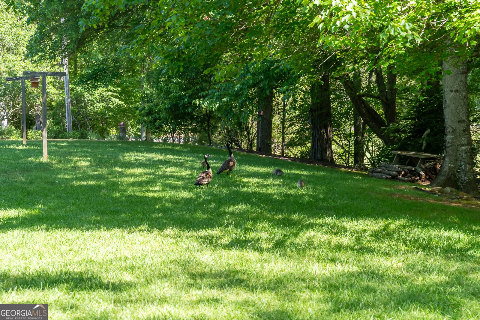 724 Fish Cove Road Blairsville - 21