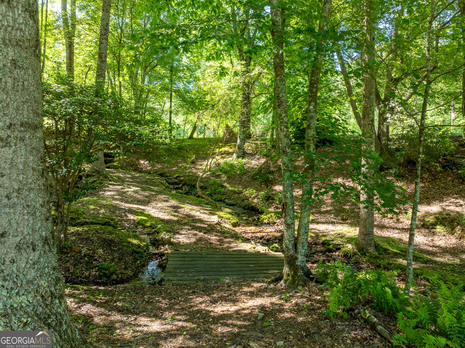 724 Fish Cove Road Blairsville - 29