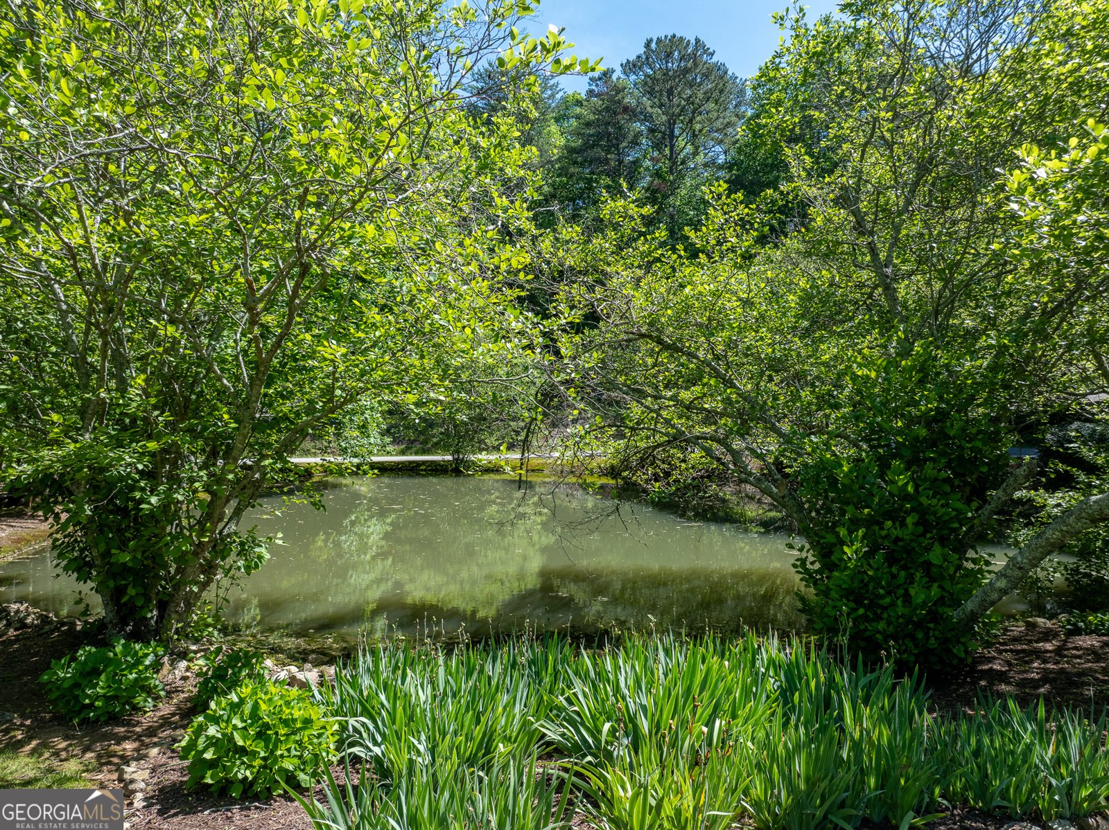 724 Fish Cove Road Blairsville - 30