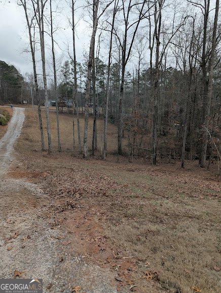 165 Hulett Lane Carrollton - Photo 21