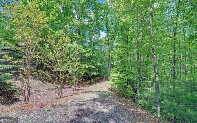 228 Flat Rock Valley Road Blairsville - 21