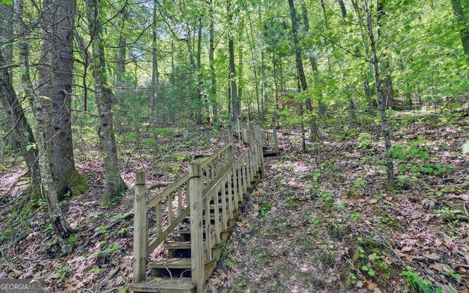 228 Flat Rock Valley Road Blairsville - 23