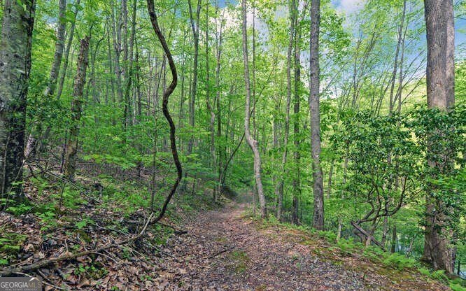 228 Flat Rock Valley Road Blairsville - 24