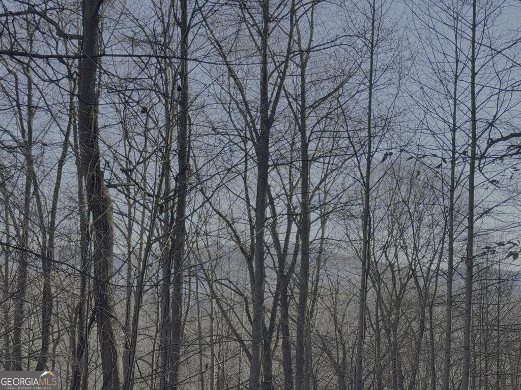 228 Flat Rock Valley Road Blairsville - 27