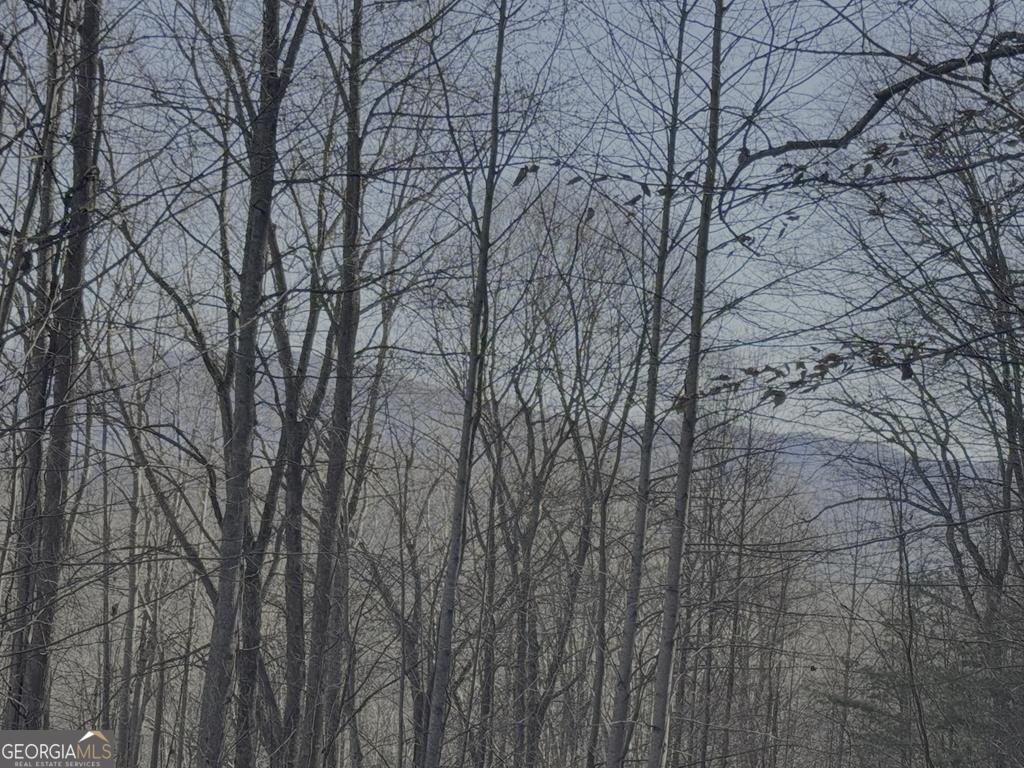 228 Flat Rock Valley Road Blairsville - 28