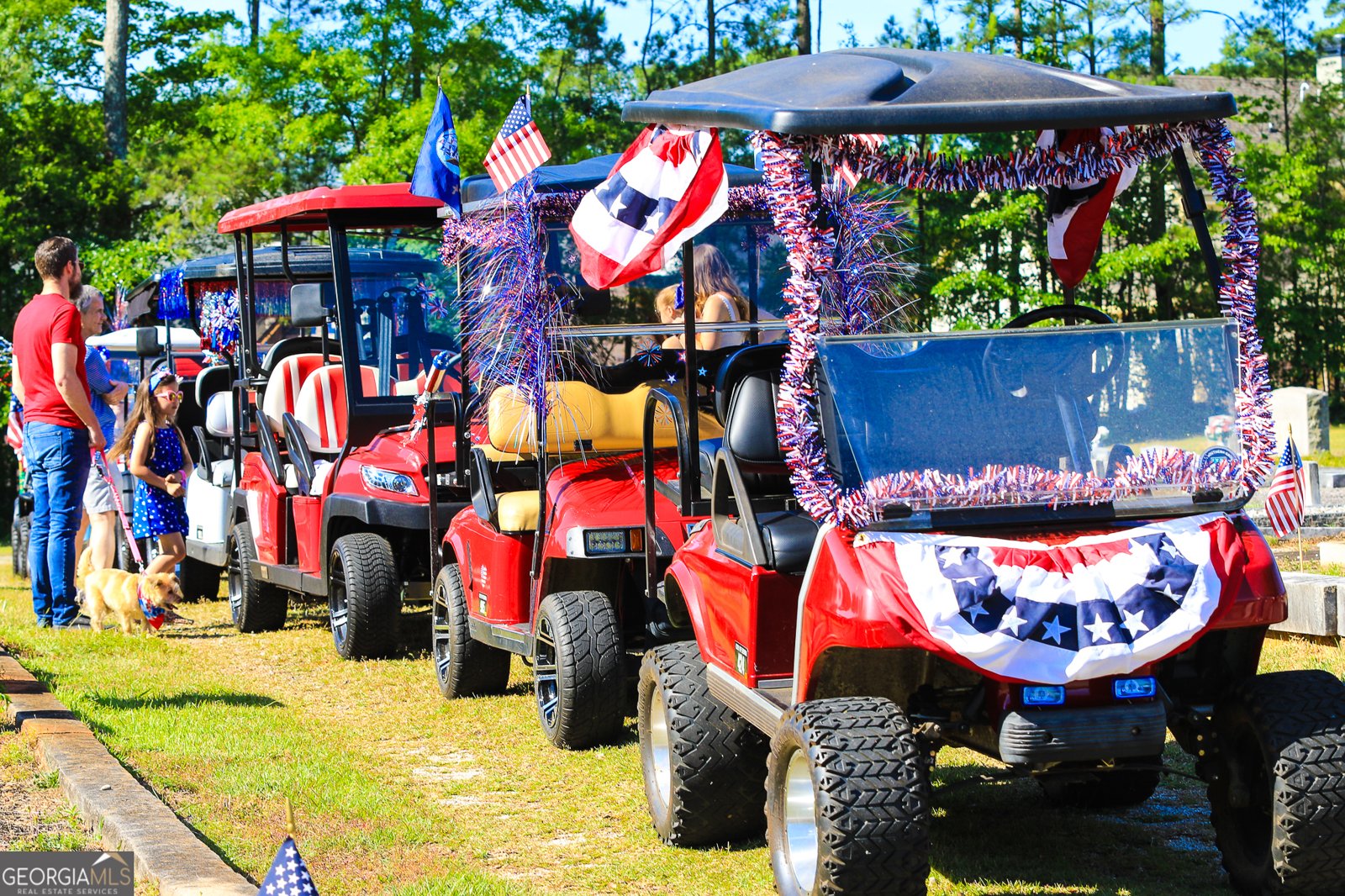 209 Maddington Court Senoia - 3