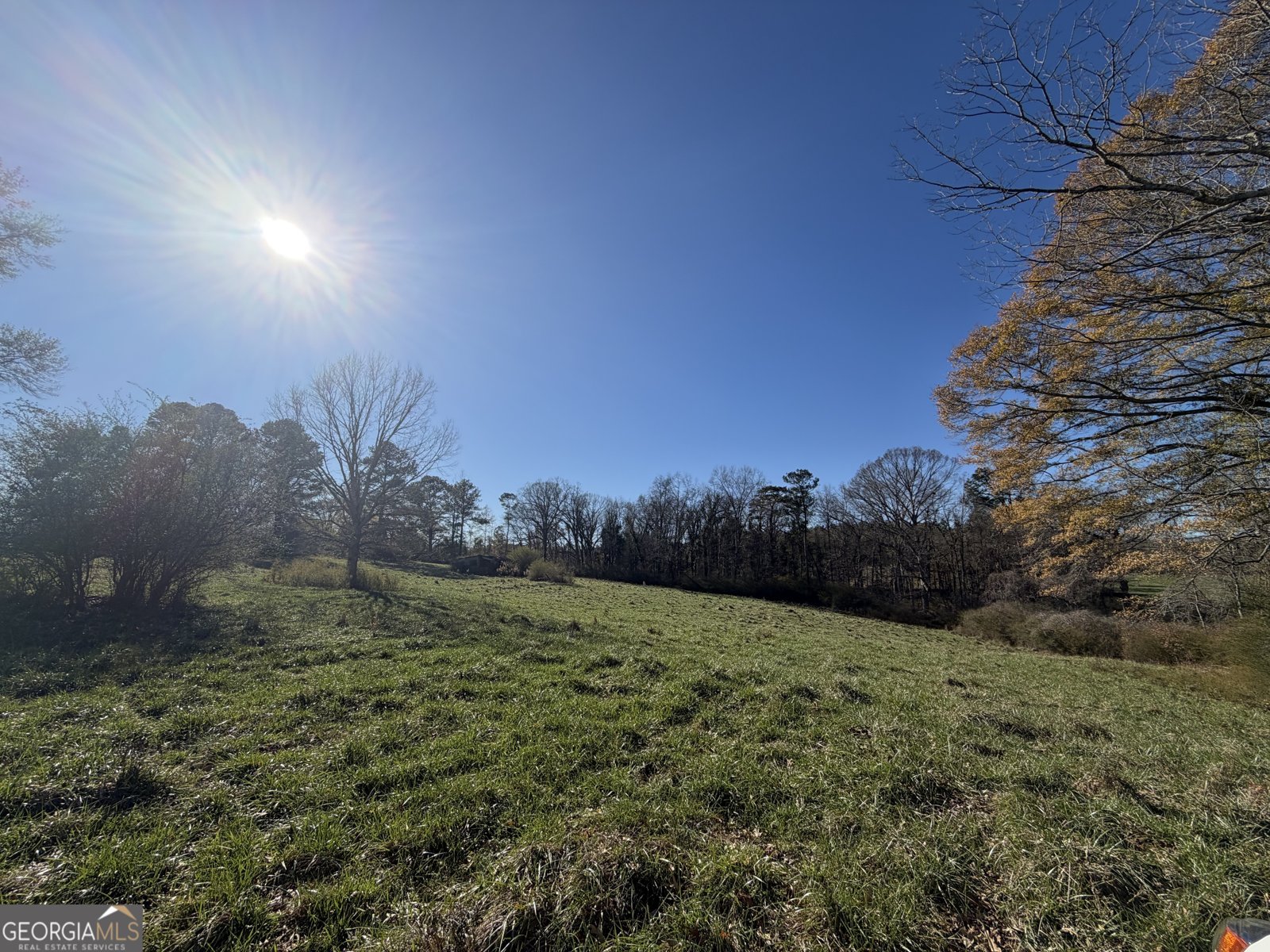 718 Duncan Road Carrollton - 38